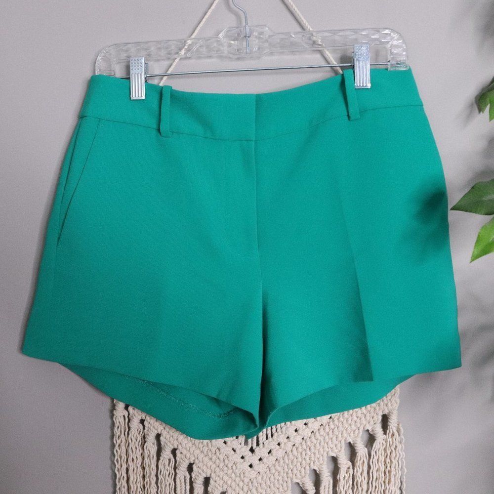 Ann Taylor | Flat Front Dress Shorts